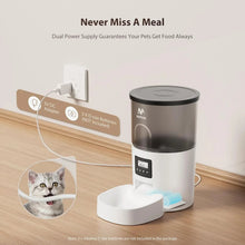 Automatic Cat Feeder and Water Fountain, Timed Pet Dry Food Dispenser, Programmable Portion Control, 1-6 Meals Per Day, Cat Fountains for Drinking with Filter, Small Pets (3L Combo)