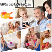 0813d7fe-3c50-4ca8-a5f4-7b5bddf28eab-3584525ed16ab09bd06dbcb5d955c495-_9_43d97d61-2fba-4d00-b2b0-475b575d5c85 - USA Mega Market