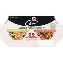 Cesar Wholesome Bowls Broth Wet Dog Food Variety Pack, 3 Oz Bowls (6 Pack)