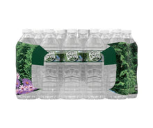 Poland Spring 100% Natural Spring Water, 16.9 oz (40-pk)