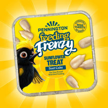 (12 pack) Pennington Feeding Frenzy Sunflower Suet Treat Cake 11 oz, Wild Bird Food, Suet Cakes for Wild Birds, 1 Pack, Fresh