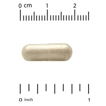 California Gold Nutrition, EuroHerbs™, Passion Flower Extract, Euromed Quality, 250 mg, 60 Veggie Capsules