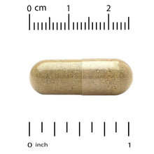 California Gold Nutrition, EuroHerbs™, Lemon Balm Extract, Euromed Quality, 500 mg