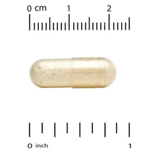 146_d9d20c16-dc53-4cbd-a9fe-f3f0fc09deaa - USA Mega Market