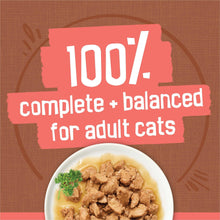Purina Friskies Extra Chunky Gravy Variety Pack, Wet Cat Food, 5.5 oz Cans, 24 Pack