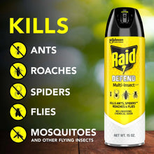 Raid Defense System Indoor and Outdoor Ants, Roaches, Spiders and Flies Insect Killer Bug Spray, 15 oz