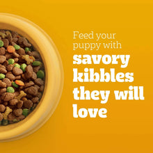 Pedigree Puppy Growth & Protection Dry Dog Food Chicken & Vegetable Flavor