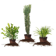 1Gal-HomeGardenCollection-8-pack-_1 - USA Mega Market