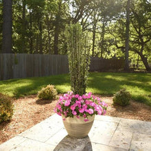 1Gal.HomeGardenCollection_8-pack4 - USA Mega Market
