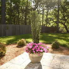 1 Gal. Home Garden Collection, 8-pack