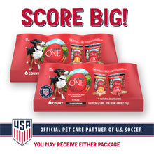 Purina ONE Natural Wet Dog Food, High Protein Soft Variety Pack, 13 oz Cans ()