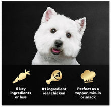 Cesar Simply Crafted Wet Dog Food Toppers for Dry Food, Chicken, Carrots, Pk 2