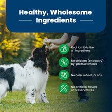 Blue Buffalo Life Protection Formula Adult Dry Dog Food, Lamb & Brown Rice