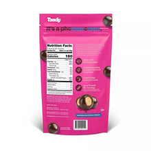Tandy Chocolate Protein NomNoms - Salted Caramel Crunch - 4.2oz