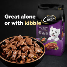 Cesar Filets In Gravy Variety Pack Wet Dog Food For Adult Dogs, 3.5 Oz Tray (24 Pack)