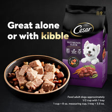 Cesar Filets In Sauce Variety Pack Wet Dog Food For Adult Dogs, 3.5 Oz Tray (24 Pack)