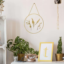 (3 pack) Mainstays Hanging Gold Circular Framed Glass Dried Pressed Floral Wall Decor, 9x9
