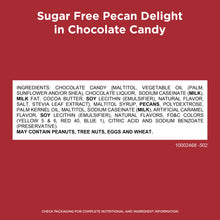 RUSSELL STOVER Sugar Free Pecan Delight Chocolate Candy, 15.5 oz. bag