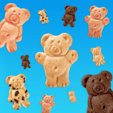 TEDDY GRAHAMS Chocolatey Chip Graham Snacks, Kids Snacks, 10 oz
