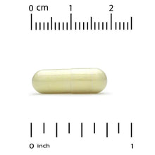 22_6fa45b40-3996-404c-a0d1-c1ef017ed116 - USA Mega Market