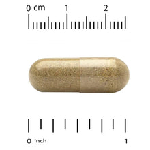 California Gold Nutrition, Akkermansia 30B PLUS with Berberine Phospholipid Matrix, and OEA, 60 Veggie Capsules