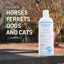 Veterinary Formula Clinical Care Flea & Tick Shampoo for Dogs and Cats, 16 fl oz