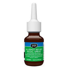 Berkley Jensen 24-Hour Allergy Reliefy, Nasal Spray 4 ct.