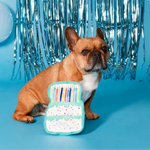 Party Animal Birthday Box Dog Toy Bundle, 5-Piece Set (Blue)