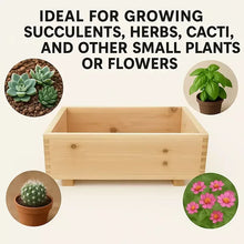 Timber Valley Brown Cedar Rectangle Planter for Indoor/Outdoor, 2pk.