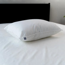 Sealy All Positions Pillow