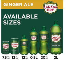 Canada Dry Ginger Ale Soda, 12 fl oz cans, 12 pack