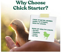 Manna Pro Medicated Chick Starter Grower Feed 5 lb Bag