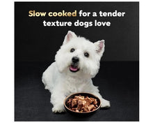Cesar Wet Dog Food Steak Lovers Variety Pack, Adult, Wet Food 3.5 oz 36 count