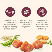 Nutrish Real Salmon, Veggies & Brown Rice Recipe Whole Health Blend Dry Dog Food, 13 lb. Bag (Rachael Ray)