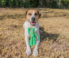 Multipet Gumby Plush Dog Toy, Green, Squeaker