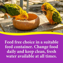 3-D-Pet-Products-Premium-Cockati5 - Brands For Less USA
