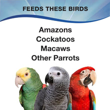 3-D-Pet-Products-Premium-Parrot4 - USA Mega Market