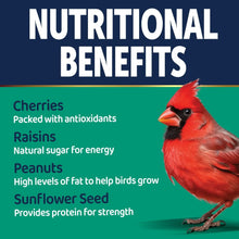 3-D Pro Blends Songbird Blend Wild Bird Food, Wild Bird Seeds, 5 Pounds