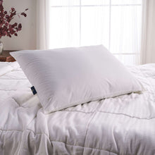 305c85d2-5c0a-4318-bcd3-f0a5c403082b-030991e498b9735352dc2b5c4ca16ad8-_6 - USA Mega Market
