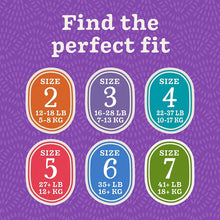Berkley Jensen Diapers (Select Size) - USA MEGA SHOP