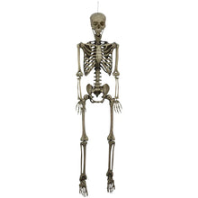 Berkley Jensen 5' Poseable Skeleton