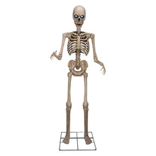 339021__alt1 - USA Mega Market
