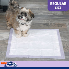 Hartz Home Protection Super Absorbent Odor Eliminating Lavender Scented No Leaks Dog Pads, Regular, 21 in x 21 in, 50 Count