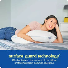 Sealy Dreamlife King Memory Foam Pillow