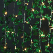 BrightSide LED Cascading Curtain Vine Indoor Lights, Warm White, 3.5ft W x 5ft H