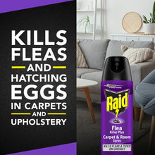 Raid Flea Killer Plus Carpet & Room Spray, Bug Spray Kills Fleas & Flea Eggs, 16 oz