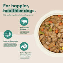 (12 pack) Jinx Bone Broth Stew Grain-Free Beef & Vegetables Wet Dog Food, 13 oz Can