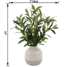 Better Homes & Gardens 14" Indoor Artificial Olive Plant in Two-Tone Ceramic Vase