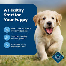 Blue Buffalo Life Protection Formula Puppy Dry Dog Food, Chicken & Brown Rice