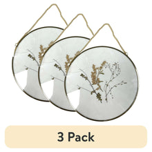 (3 pack) Mainstays Hanging Gold Circular Framed Glass Dried Pressed Floral Wall Decor, 9x9